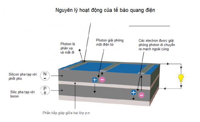 te-bao-quang-dien