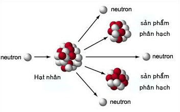 Phản ứng phân hạch hạt nhân là gì?